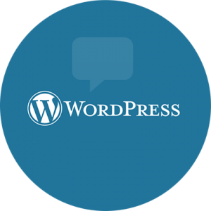 WordPress Blogg