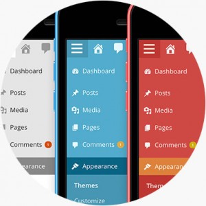 WordPress hemsida till fast pris